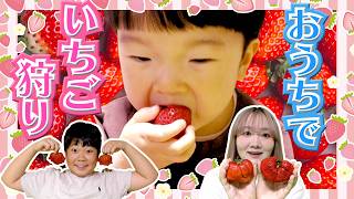 動画サムネイル