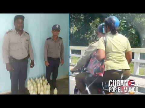 Así es la 5.ª mejor policía del mundo, la de Cuba: Mentiras, abuso policial, y desprestigio