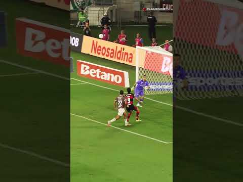 image para ilustrar o artigo