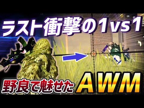 【荒野行動】久しぶりに最強武器AWMをもって無双したったｗｗｗｗ