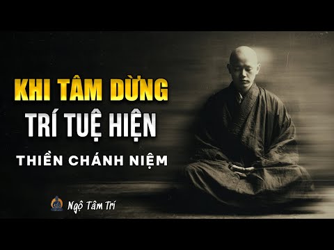 KHI TÂM BIẾT DỪNG - Mọi Câu Trả Lời Đều Hiện Ra | Ngộ Tâm Trí