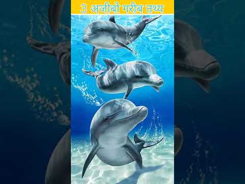 3 अजीबो गरीब तथ्य🧐|#fact #youtubeshorts #ytshorts #amazingfacts #youtubeshorts #ytshorts #dailyfact
