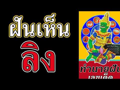 ฝันเห็นลิง1ตัวหลายตัวตีเลข