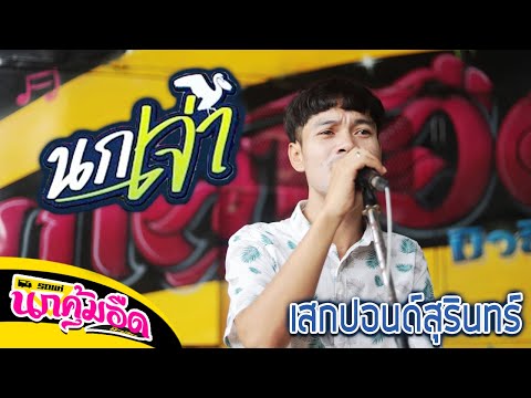 นกเจ่า---เก่ง-สยาม【COVER-VERSI นกเจ่า---เก่ง-สยาม【COVER-VERSI