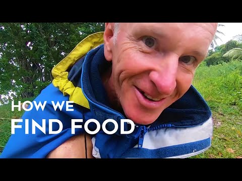 Foraging for Food | Sailing New Caledonia (Sailing SV Sarean) Ep. 83