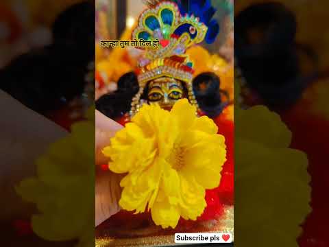 कान्हा आप तो दिल हो🙏❤🦚#bhakti #vrindavan #radharani #radheshyaam #viral #shorts #ytshorts