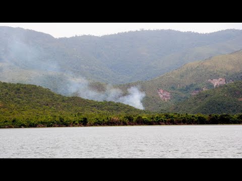 Deforestación en parques de Lara amenaza reservas y calidad del agua, alertan especialistas #24Abr