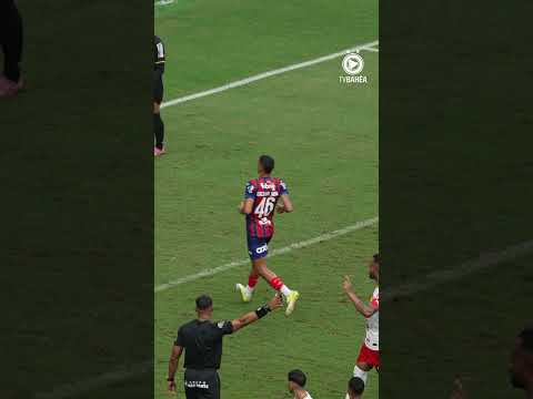 image para ilustrar o artigo