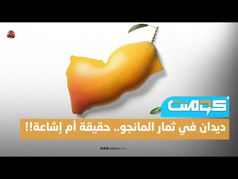 كشف حقيقة وجود ديدان في ثمار المانجو اليمني.. ما الحكاية!؟
