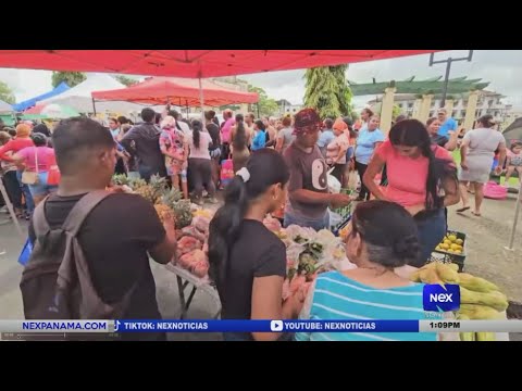 Cientos de personas acudieron a la feria del IMA en barrio norte, Colo?n