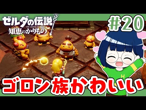 ＃20【ゼルダの伝説知恵のかりもの】オルディン火山の裂け目を消すぞ！
