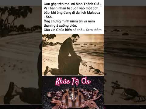 Đời Cin Là Khúc Hát Tri Ân #caunguyen #chuagiesu #caunguyencungchua #caunguyenmoingay #shortvideo