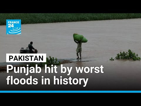 Pakistan’s Punjab hit by worst floods in history • FRANCE 24 English