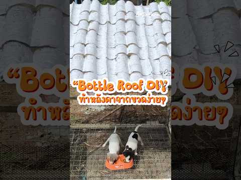 ทำบ้านให้น้องหมา ด้วยหลังคาจากขวด “Bottle Roof DIY” #DIYขวดพลาสติก #รีไซเคิลสร้างสรรค์ #BottleRoof