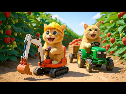 Mama Cat Trims Fur on the Farm and Makes Tiger Hat For Kittens At Home🐾🎩🐯