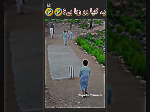 The Best Player #yutubeshorts #cricketlover #fanforever #vrilshorts #unfrezzmyaccount