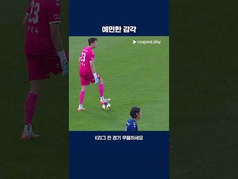 축구공에 이상을 감지한 안준수 키퍼 | 2025 K리그1 | 수원FC vs 강원