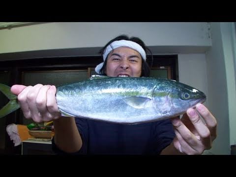 軟弱な男のイナダ三枚おろし | How to make slices of raw fish for young yellowtail.