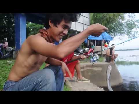 stupid fishing, crazy angler