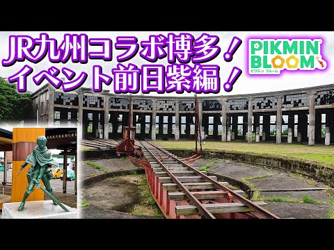 【ピクミンブルーム】JR九州コラボ博多！イベント前日紫編！【Pikmin Bloom】