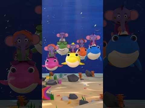 เบบี้ชาร์คโดโดโดFullVersi