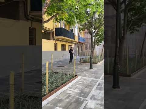 La calle Agustina de Aragón luce totalmente reformada con parterres con arbolado