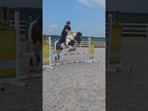 #horse #horses #equestrian #equestrians #horseriding #pony #ponies #horserider #horsegirl