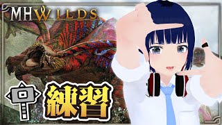 ハンマー6分台目指して！装衣&オトモ無しで挑むフリチャレ！【MHWilds】#MHWilds #モンハンワイルズ #vtuber #CCJP
