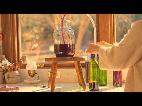 一粒の種からワインができたよ/手作りの暮らしとガーデン🌿