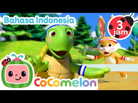 Lomba Lari Kura-kura dan Kelinci | CoComelon Bahasa Indonesia - Lagu Anak Anak | Nursery Rhymes