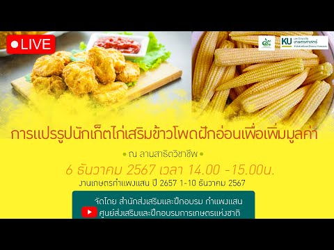 LIVE:การแปรรูปนักเก็ตไก่เสริ