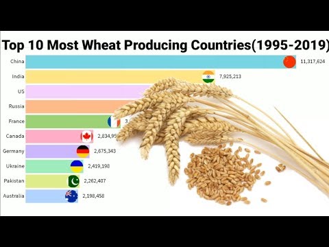 Top 10 Wheat Producing Countries In The World Statistics (1960-2019)