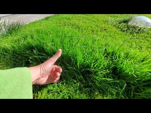 Ma quanto  serve un angolo riparato?