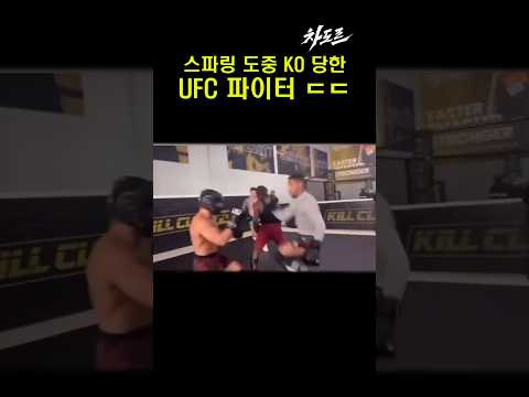 스파링 도중 KO 당한 UFC 파이터 논란 ㄷㄷ