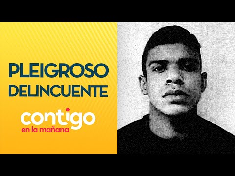 VARIOS DELITOS: Este es el prontuario de peligroso venezolano buscado en Chile -Contigo en La Mañana