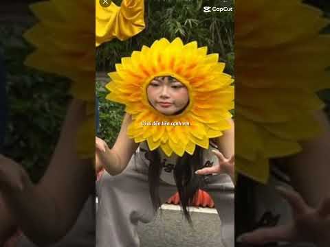 Ai like thứ 50 bình luận cho tui biết nha 😀#@ ánh sáng aza