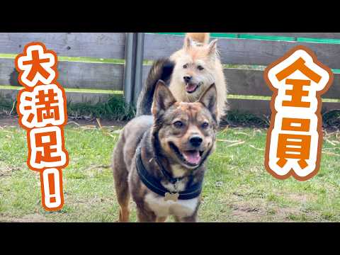 ドッグランに来たら、珍しい出来事がおきました！！！