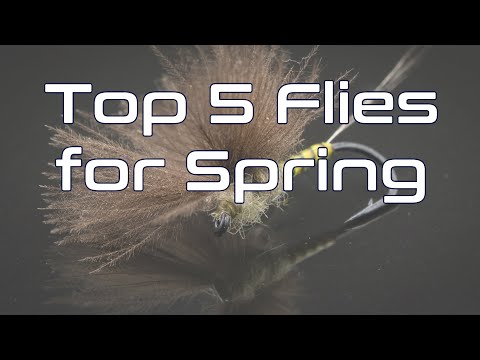 Top 5 Fly Patterns for Spring | You Need These Flies!