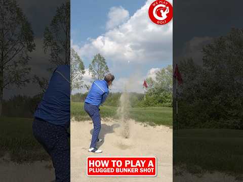 How to play a plugged bunker shot?