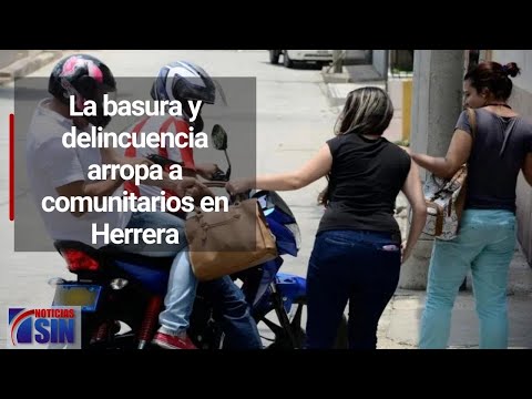 La basura y delincuencia arropa a comunitarios en Herrera