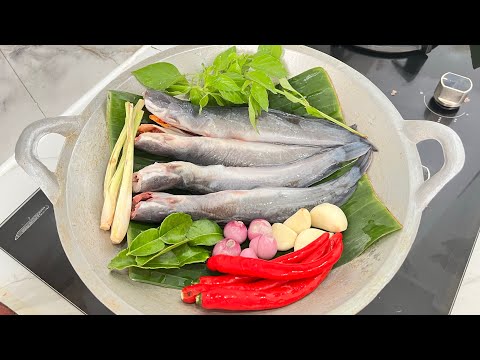 LELE JANGAN CUMA DIGORENG,DIMASAK BEGINI ENAK DAN SEGER BANGET