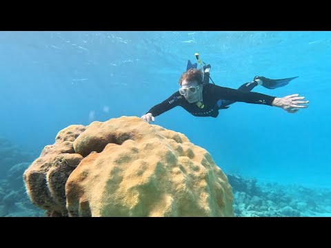 Bahamas - The Disappearing Islands: On Assignment | ITV News