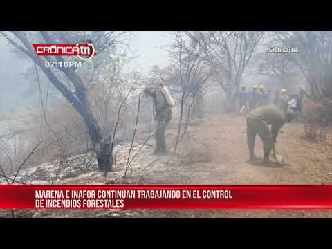 INAFOR y MARENA trabajan en control de incendios forestales en Nicaragua