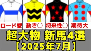 【2025年】7月デビュー期待新馬4選【ロードラヴォール/ヴィラジョヴィス/ペルウィクトール】