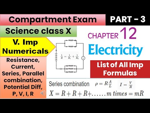 Electricity MOST IMPORTANT NUMERICALS | Class 10 Science  | Numericals #electricityclass10numericals