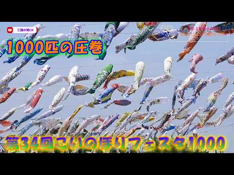 【圧巻】空を泳ぐ1000匹の鯉のぼり!第34回こいのぼりフェスタ1000【2026年5月2日】