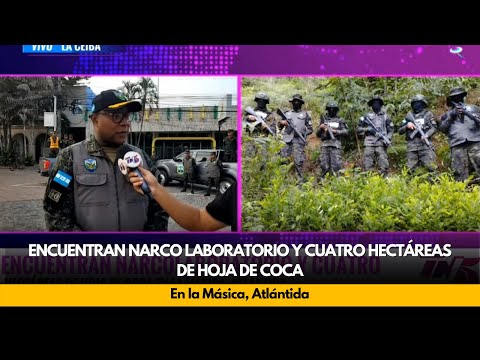 Encuentran narco laboratorio y cuatro hectáreas de hoja de coca en la Másica, Atlántida