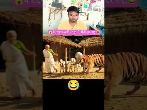 Too Cheez Badi Hai 😱😂👹🥵 🥀 #shorts #funny #trending #viral #ytshorts #anjaniprakashg