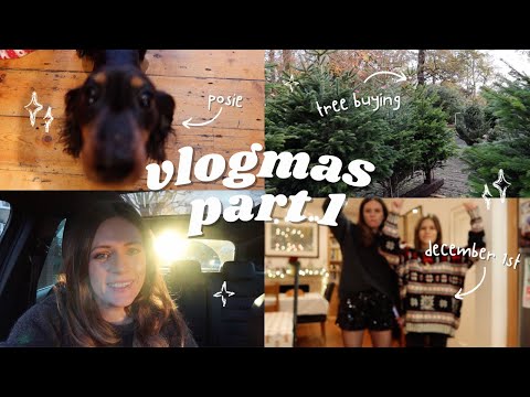 December 1st party, Beyonce, Christmas trees & the start of VLOGMAS 2023 | PART 1 | jesschamilton