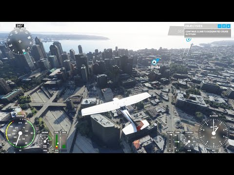 Bread's Back - Microsoft Flight Simulator (silent)